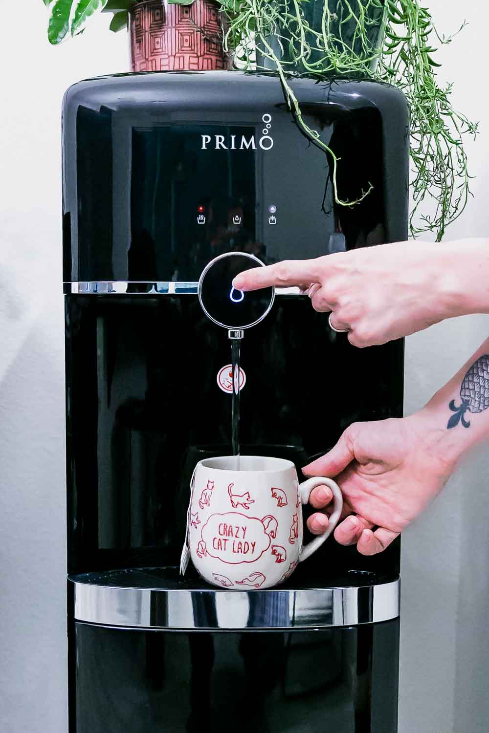 Say Goodbye To Single-Use Water Bottles in 2020 With The Primo Water  Dispenser