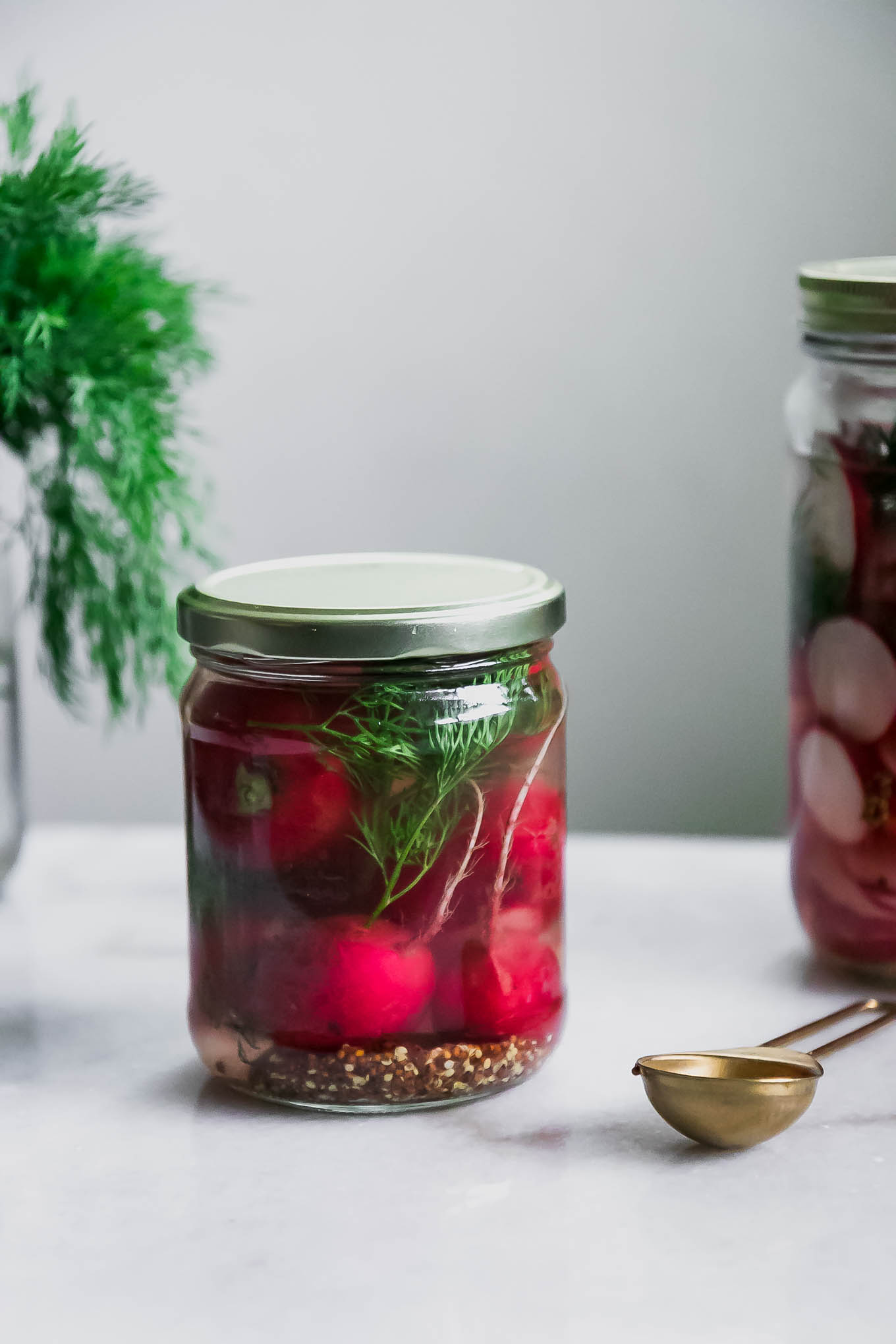 Quick Dill Pickled Radishes ⋆ Refrigerator Pickled Radishes with Fresh Dill