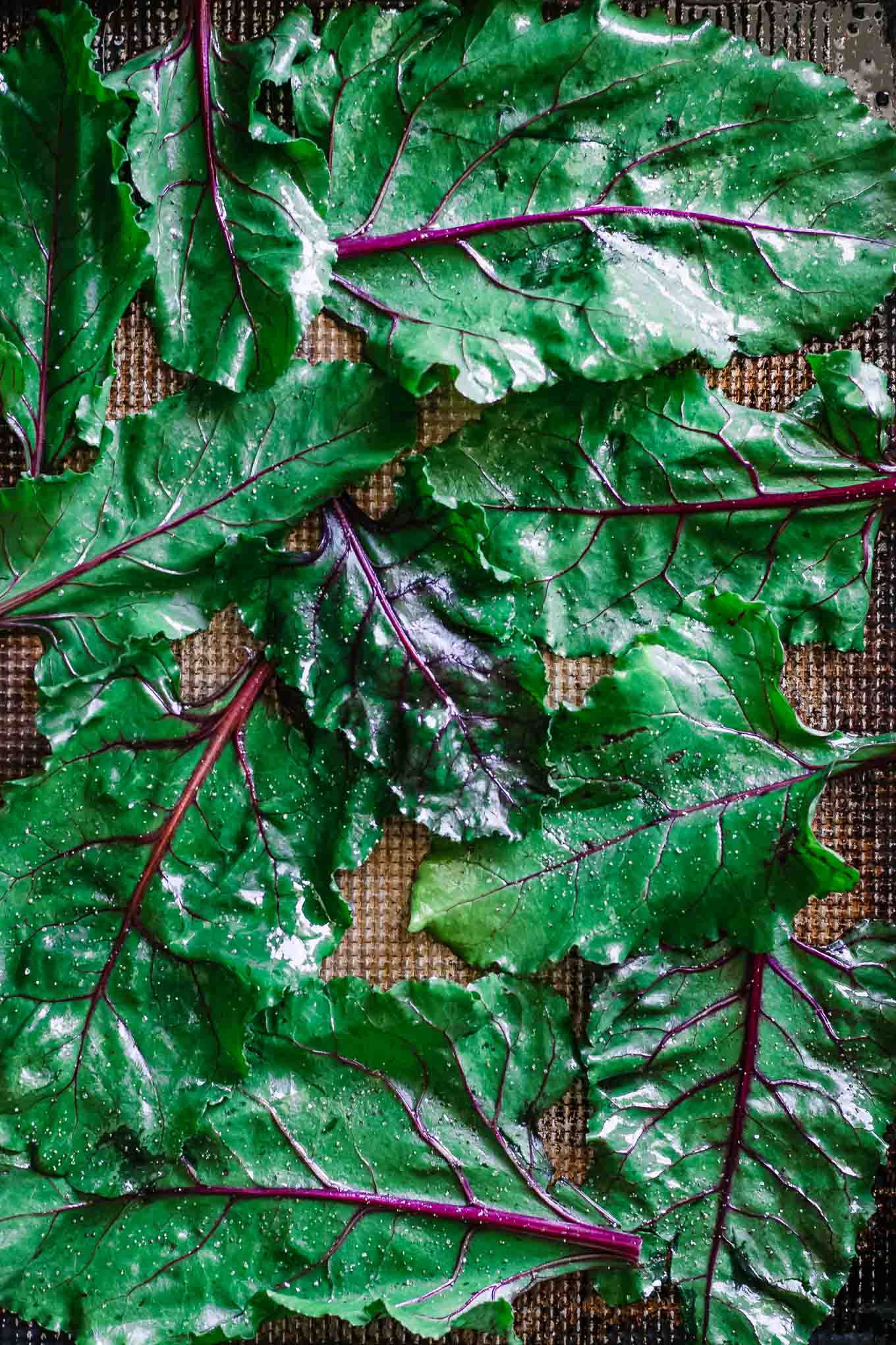 Crispy Baked Beet Greens ⋆ Make Chips from Roasted Beet Leaves!